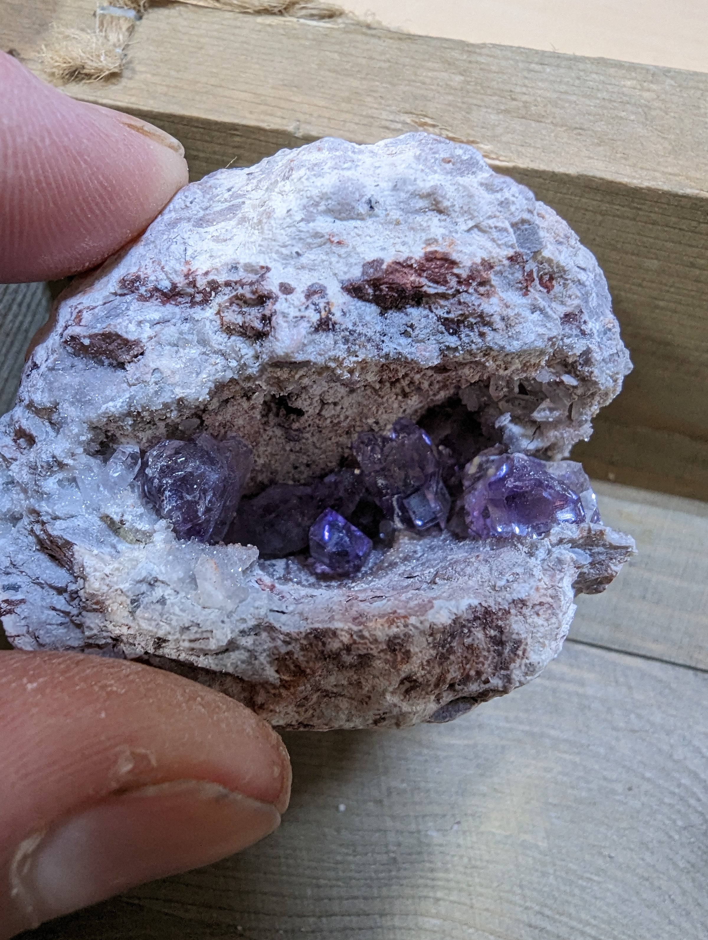 Guaranteed Amethyst Geodes | The Geode Guys, image size:2400x3188