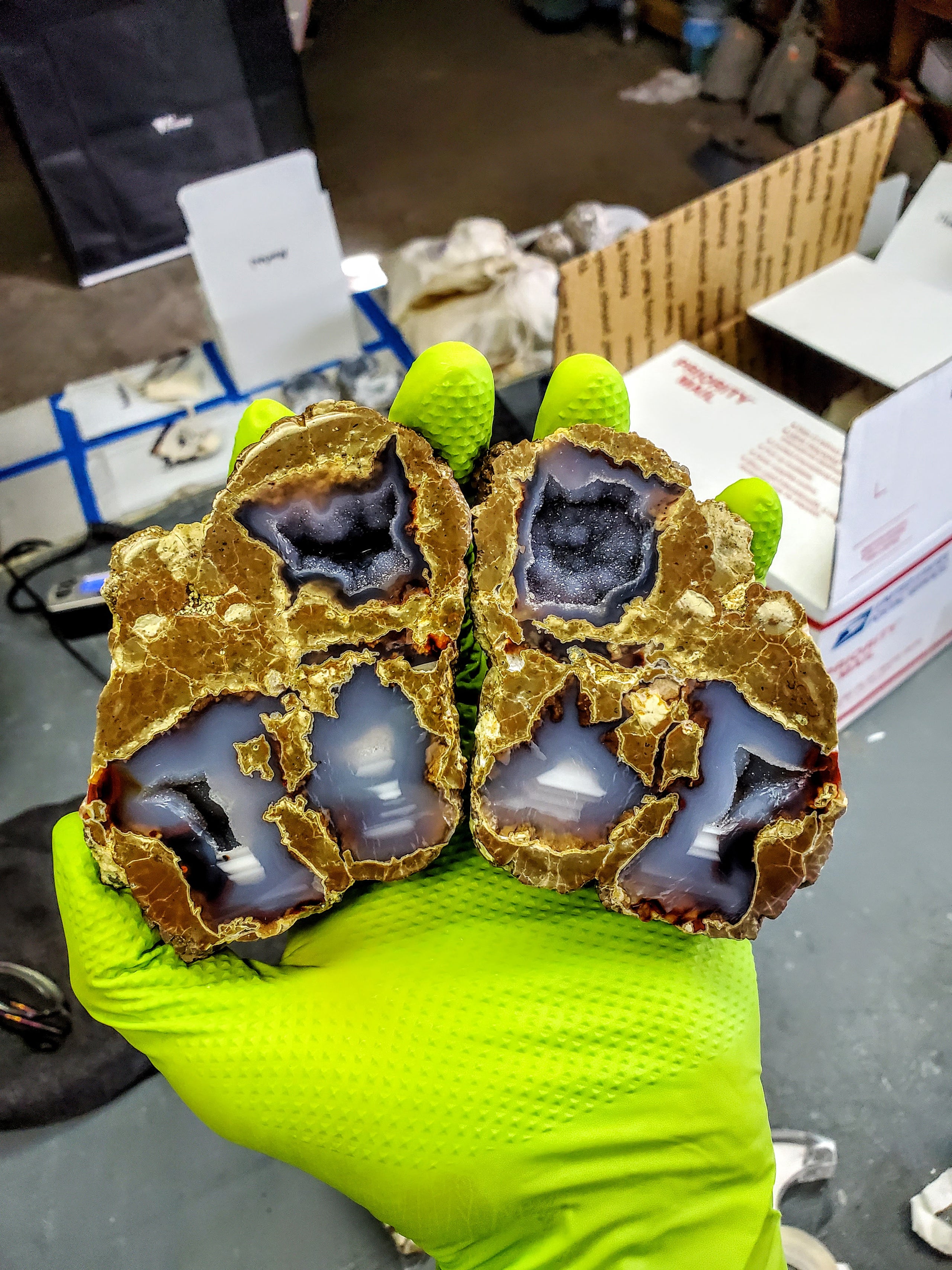 Oregon Thunder Eggs from the Geode Guys